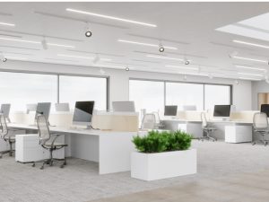 Transizione Strategica ai Bastoncini in Bambù per Ristoranti Ottimizzazione Sostenibilità e Catena di Approvvigionamento