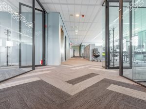 Guida Tecnica alla Selezione dei Legni per Stuzzicadenti Professionali Betulla e Pioppo a Confronto